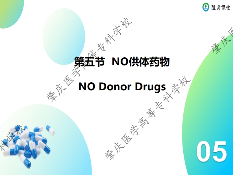 第六章-5　NO供体药物新质力文库 - 聚焦新质生产力发展的数字化知识库_行业洞察 / 理论成果 / 实践指南免费下载新质力文库